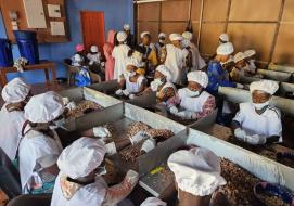 Women in new cashew processing factory