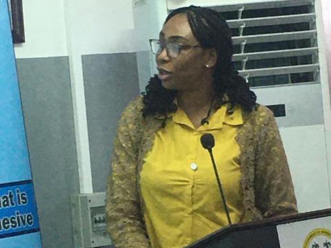 Hawa Sallay Samai, Executive Secretary of ICPNC