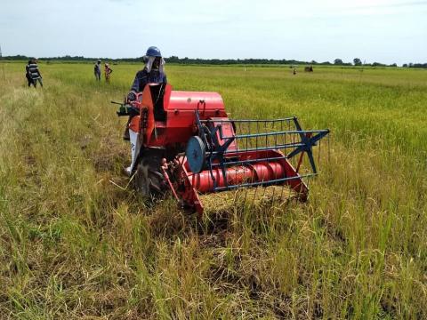 Harvester at Tormabum