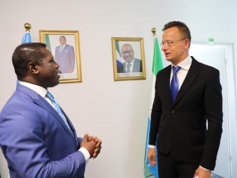 Prof David Francis and his Hungarian counterpart