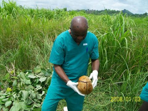 Dr Owizz Koroma with the exhumed skull of one of the deceased